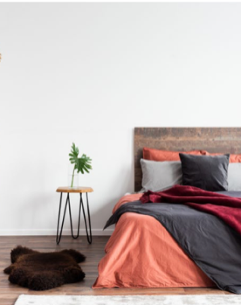 ebg interior design (3)